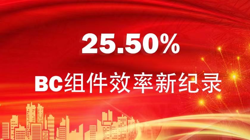 BC組件效率25.50%！金石能源混合型BC組件再創新紀錄